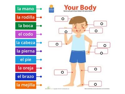 (4) The body - Label