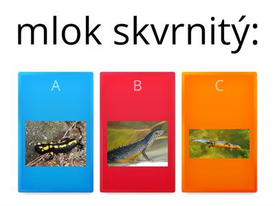 Vyznáš se mezi obojživelníky?