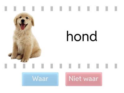 NT 2 alfa B woorden met een eind-d of -t