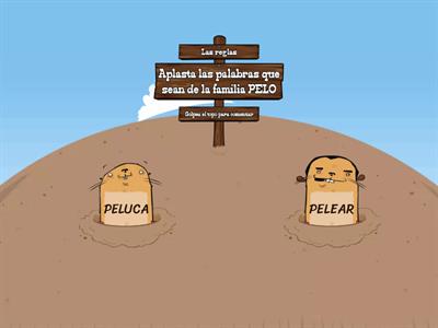 PELO_ FAMILIA DE PALABRAS