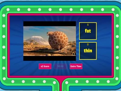 Physical description - Game show quiz