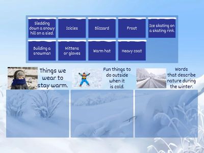 U3L1 Winter Categorizing 
