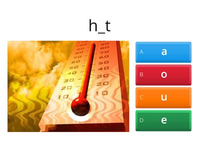 Fill in the correct vowel