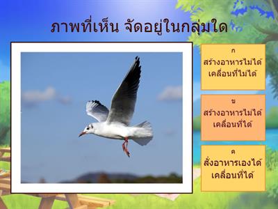 การจำแนกสิ่งมีชีวิต