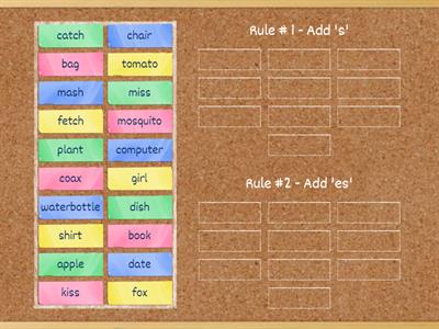 Singular and Plural Nouns - Rule 1 and 2