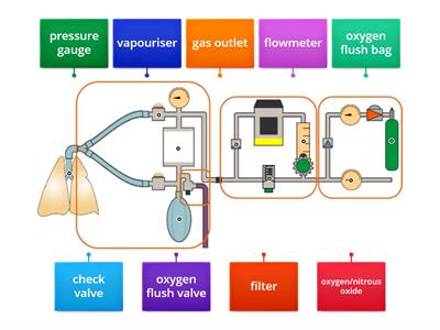 Veterinary Anaesthetic Circuit