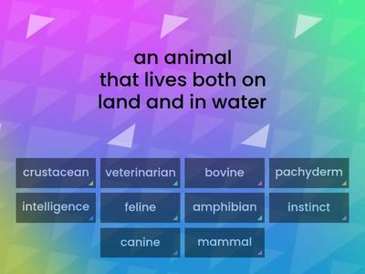 5th Vocabulary List 12