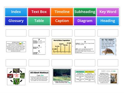 Informational Text Features Practice