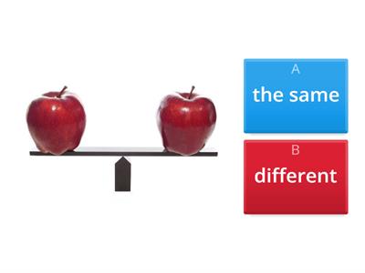 the same / different