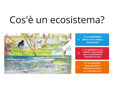  Ecosistema