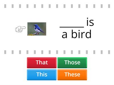 THIS THAT THESE THOSE 