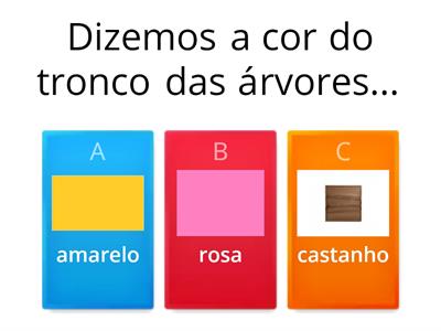 Todas as cores - leitura de fala Camila