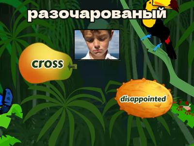 Emotions Solutions Pre-Intermediate