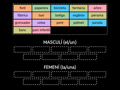 Vocabulari de la ciutat (masculí/femení)