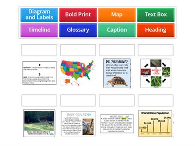 Informational Text Features Practice