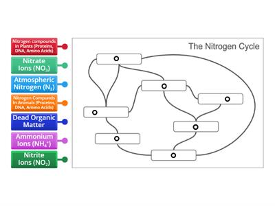 The Nitrogen Cycle Labelling Stores