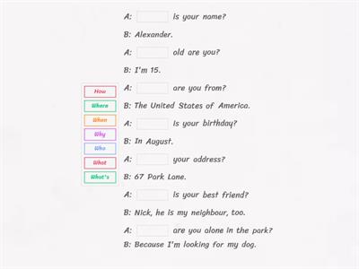 Dip in 4 - Lesson 13 - Wh-questions 