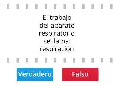 Respiración y Circulación 