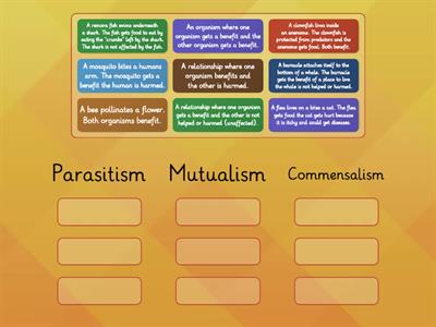 Symbiotic Relationships Review