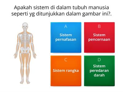 SAINS TAHUN 5 : PERKAITAN ANTARA SISTEM DI DALAM TUBUH MANUSIA