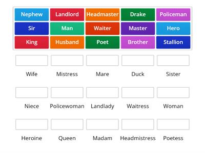 Match the feminine nouns with their masculine- SJS