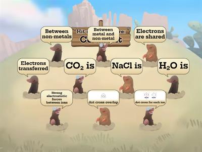 Ionic vs Covalent Starter