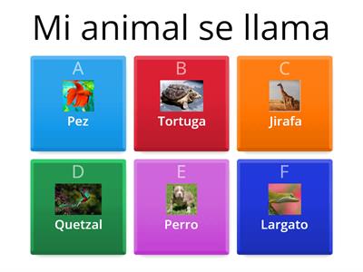 El Quetzal- Owen Santini