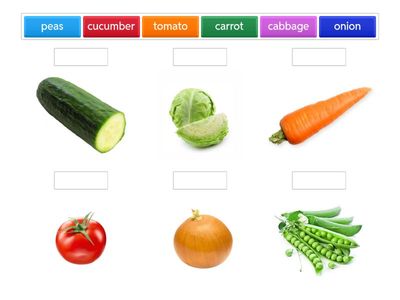 Srart up 2. Vegetables.