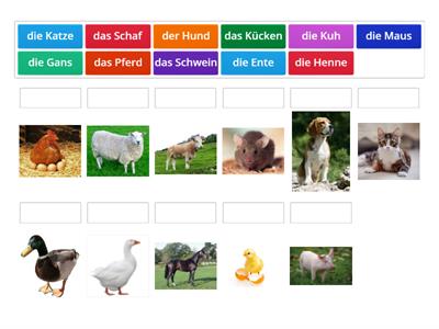 Auf dem Bauernhof 2. Klasse