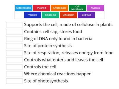 Cell structure functions match up (N5)