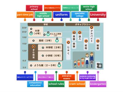 日本の教育制度