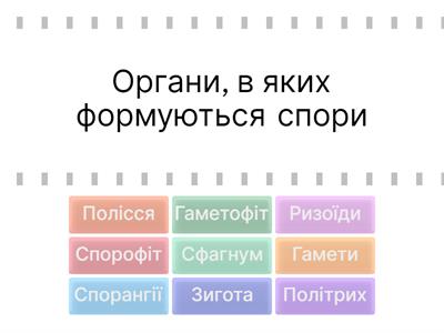 Вищі спорові рослини. Мохоподібні