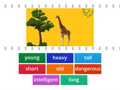 What does it look like?