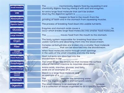 Digestion Pair No Pair