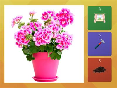 Догляд за кімнатними рослинами. Що зайве?