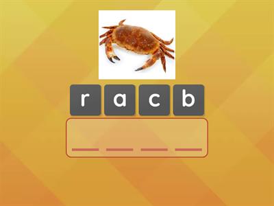 Sounds write unit 8-9 word building