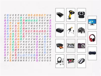 Activity 3: Input/Output Devices (Wordhunt)