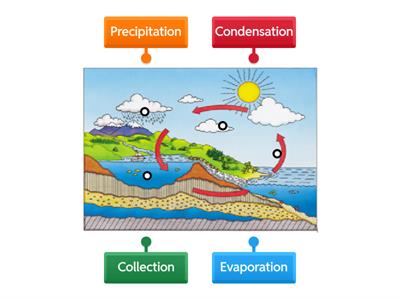 Water Cycle Diagram