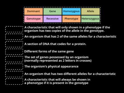 S3 BGE Inheritance Key Terms