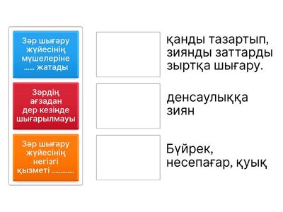 Зәр шығару жүйесі қалай жұмыс істейді? 