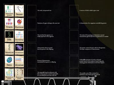 Genetics Match up Definitions 