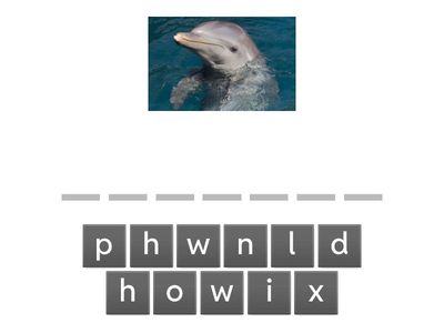 Unit 3 - hláskovanie