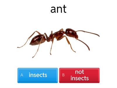 Y2Q3W2S1 ESL (WARM UP)