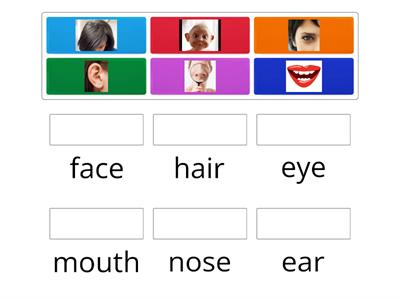 parts of the face