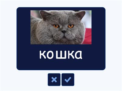 тест/ немецкий