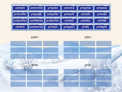 Prefixes com- con- pre- pro-