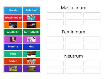 Places in Town / Genders