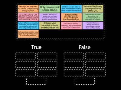 Safeguarding True or False