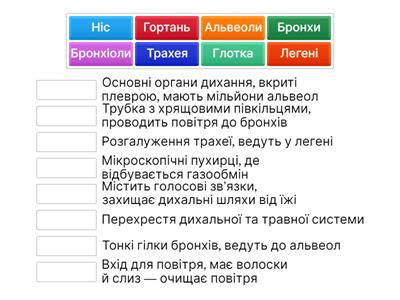 Будова дихальної системи