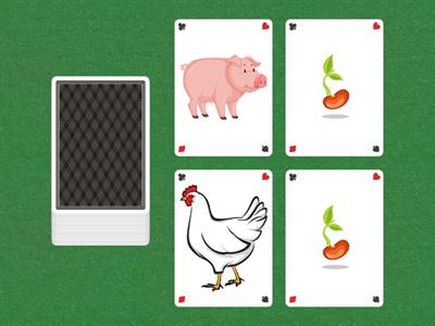 Animal Variable Cards